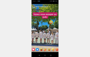 Les 6 et 9 juillet 2025 : démonstration aux ESTIVALES DE LAMOTTE